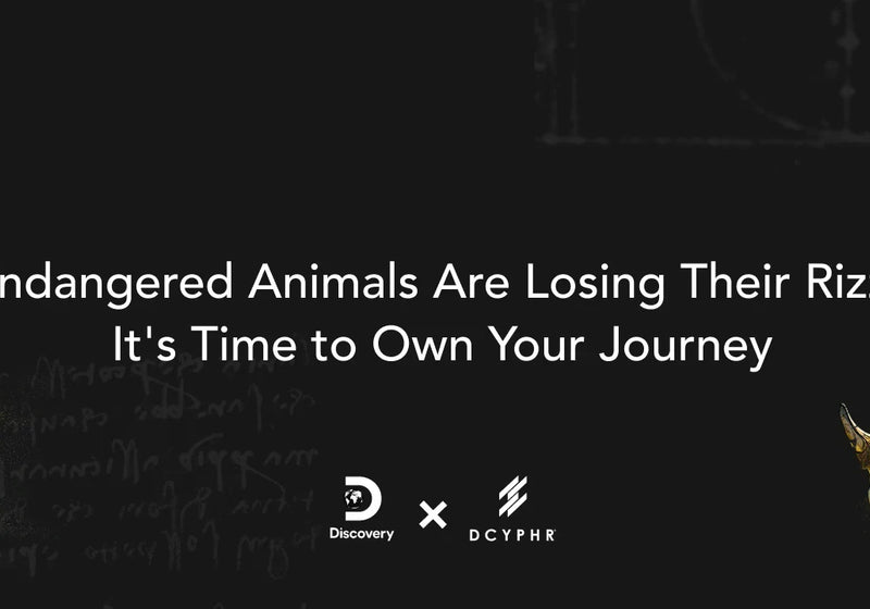 Endangered Animals Are Losing Their Rizz & It's Time to Own Your Journey (Literally)