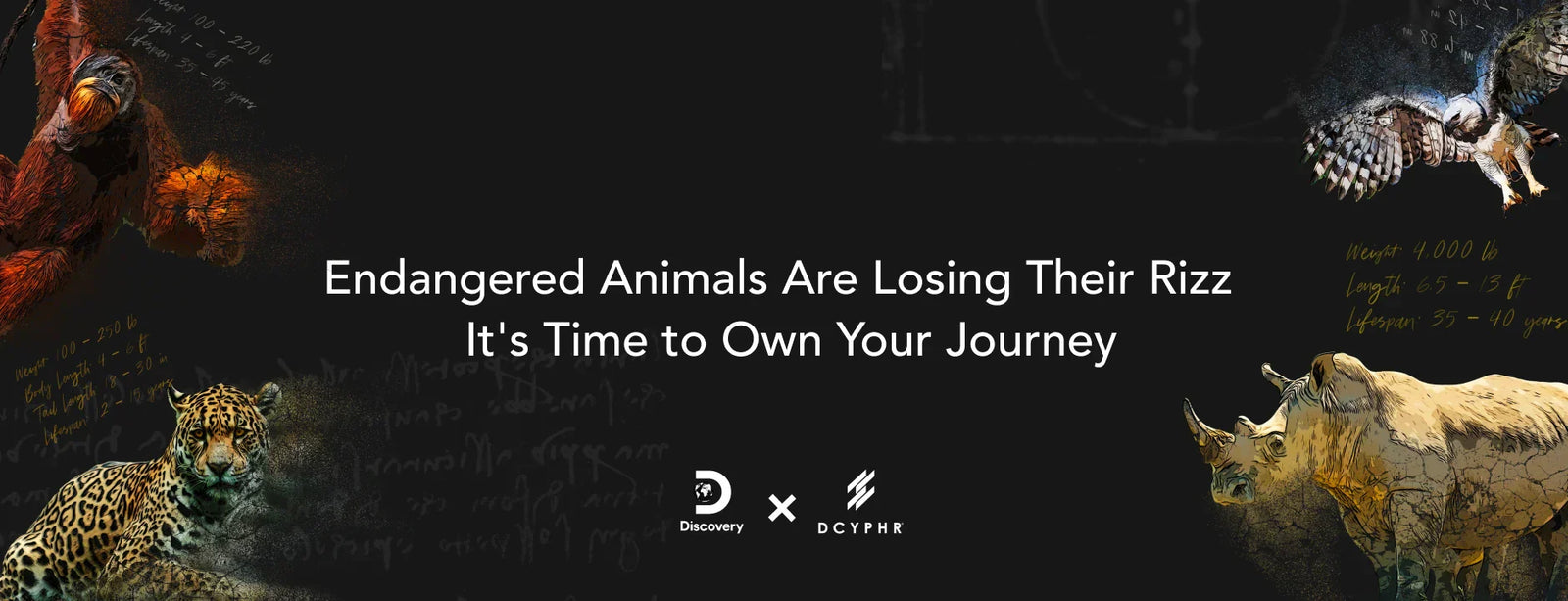 Endangered Animals Are Losing Their Rizz & It's Time to Own Your Journey (Literally)