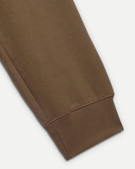 Desert Brown